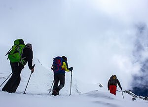 Life time course
